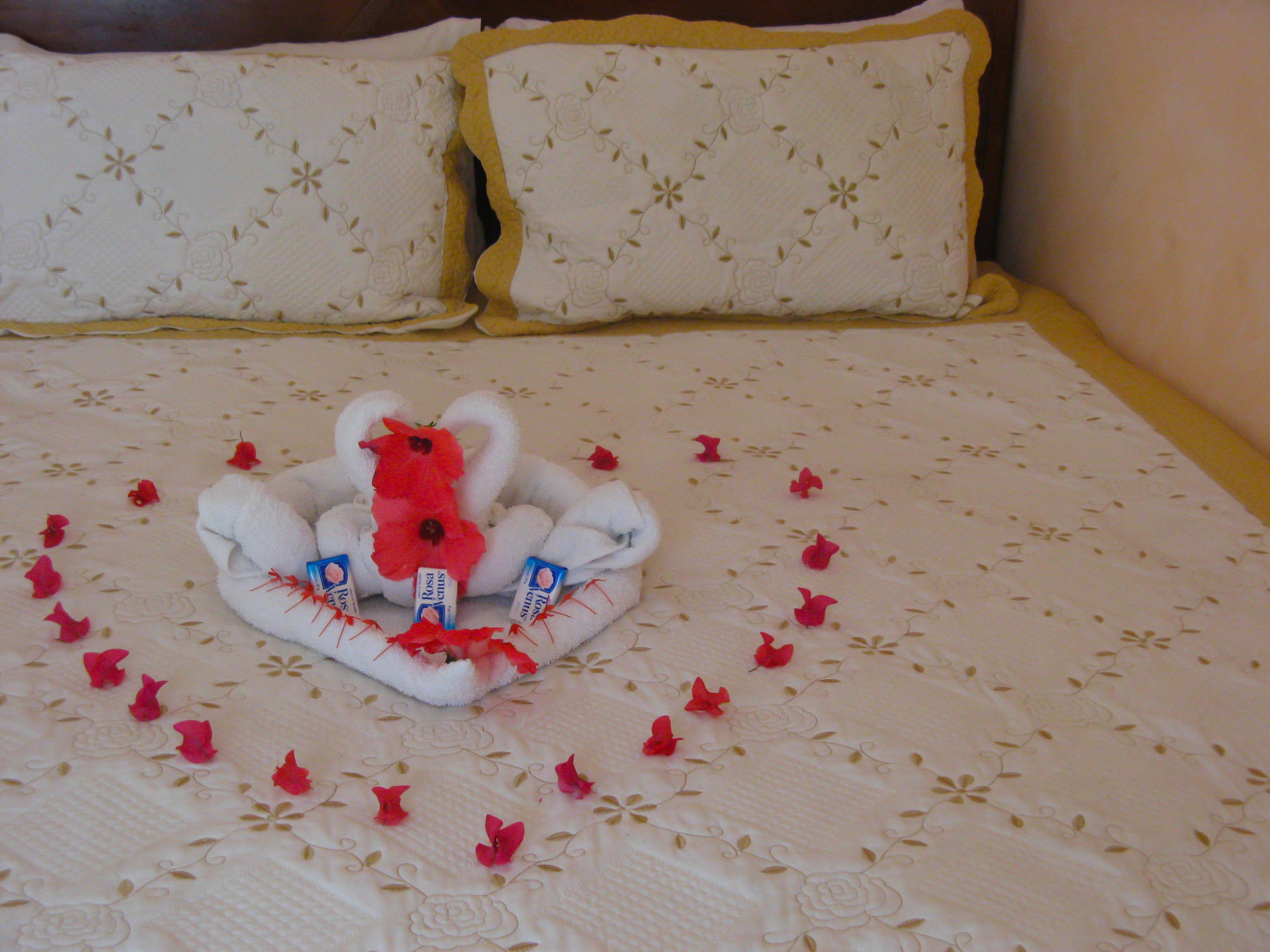 Executive Shaw Park Guest House Ocho Rios Eksteriør bilde